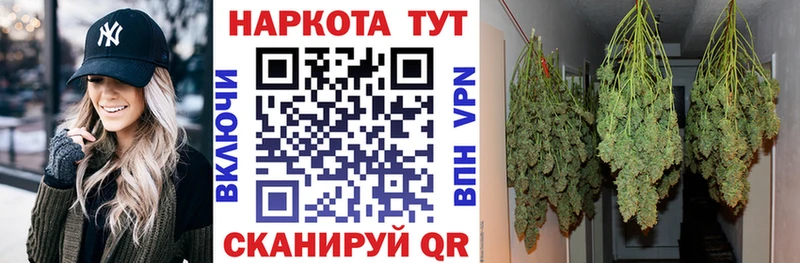 Где продают наркотики Пестово Галлюциногенные грибы  АМФ  hydra маркетплейс  Конопля  ГАШИШ 