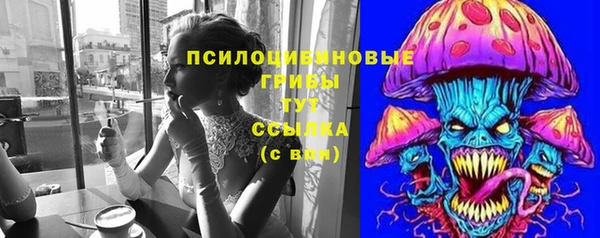 меф Снежинск