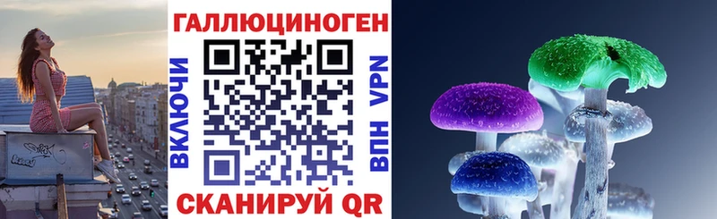 Псилоцибиновые грибы Psilocybe  Пестово 
